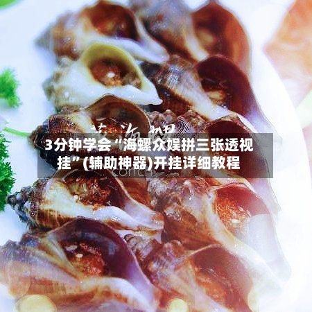 3分钟学会“海螺众娱拼三张透视挂”(辅助神器)开挂详细教程-第2张图片