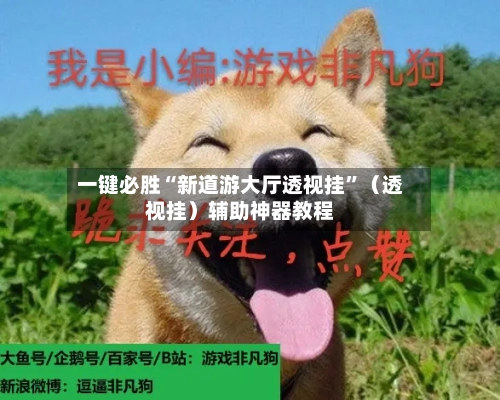 一键必胜“新道游大厅透视挂	”（透视挂）辅助神器教程-第2张图片