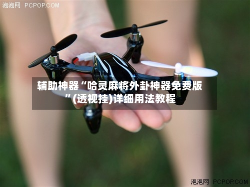 辅助神器“哈灵麻将外卦神器免费版”(透视挂)详细用法教程-第3张图片