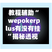 教程辅助“wepokerplus有没有挂”揭秘透视辅助万能挂用法-第2张图片