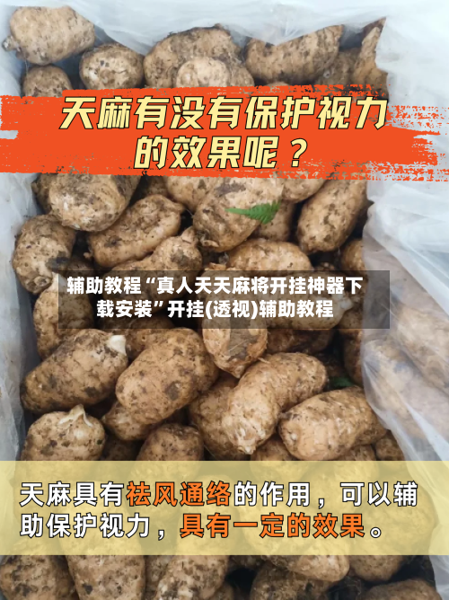辅助教程“真人天天麻将开挂神器下载安装”开挂(透视)辅助教程-第3张图片