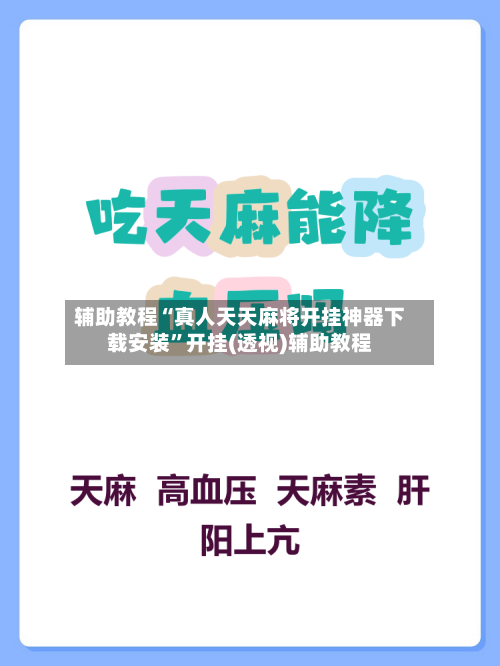 辅助教程“真人天天麻将开挂神器下载安装	”开挂(透视)辅助教程-第2张图片