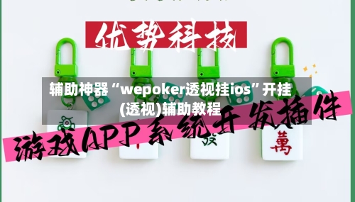 辅助神器“wepoker透视挂ios	”开挂(透视)辅助教程-第2张图片