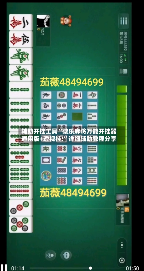 辅助开挂工具“微乐麻将万能开挂器通用版+透视挂!”详细辅助教程分享-第3张图片