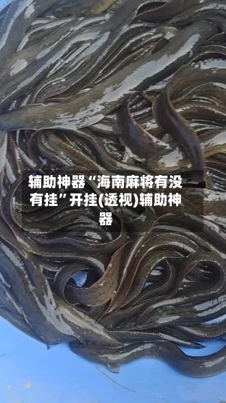 辅助神器“海南麻将有没有挂”开挂(透视)辅助神器-第2张图片