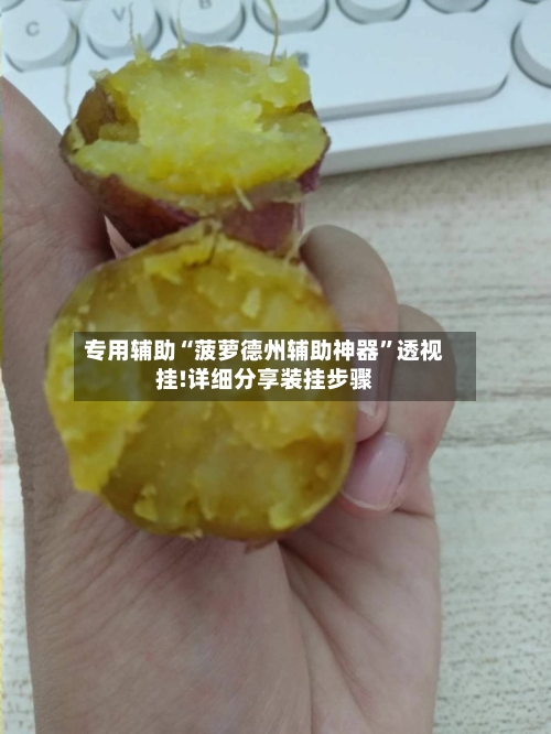 专用辅助“菠萝德州辅助神器”透视挂!详细分享装挂步骤-第2张图片