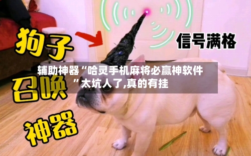 辅助神器“哈灵手机麻将必赢神软件”太坑人了,真的有挂-第2张图片