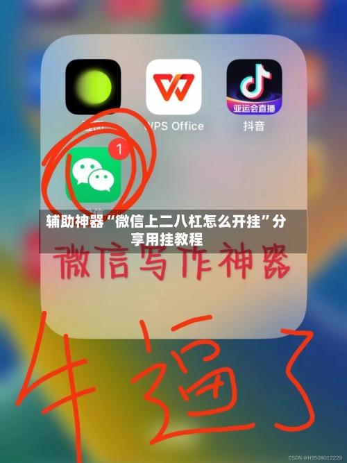 辅助神器“微信上二八杠怎么开挂”分享用挂教程-第2张图片