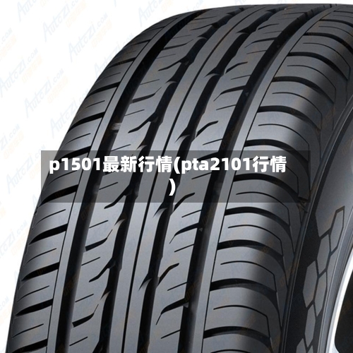 p1501最新行情(pta2101行情)-第2张图片