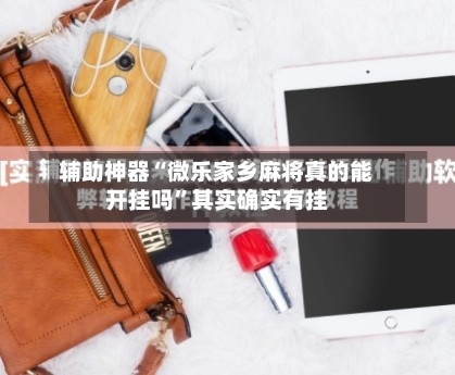 辅助神器“微乐家乡麻将真的能开挂吗”其实确实有挂