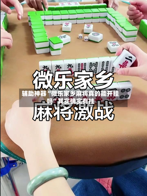 辅助神器“微乐家乡麻将真的能开挂吗”其实确实有挂-第2张图片