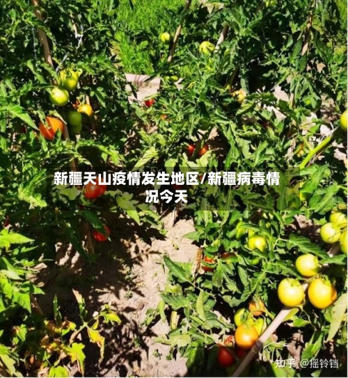 新疆天山疫情发生地区/新疆病毒情况今天