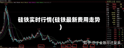 硅铁实时行情(硅铁最新费用走势)-第3张图片