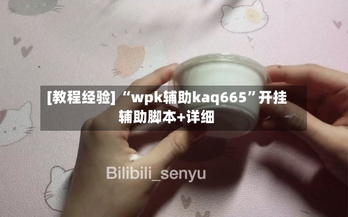 [教程经验] “wpk辅助kaq665”开挂辅助脚本+详细-第2张图片