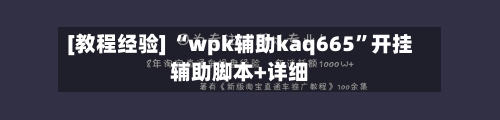 [教程经验] “wpk辅助kaq665	”开挂辅助脚本+详细-第3张图片