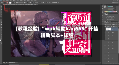 [教程经验] “wpk辅助kaq665”开挂辅助脚本+详细