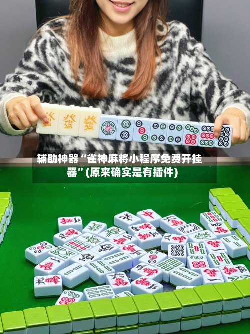 辅助神器“雀神麻将小程序免费开挂器”(原来确实是有插件)
