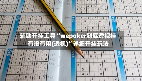 辅助开挂工具“wepoker到底透视挂有没有用(透视)	”详细开挂玩法-第2张图片