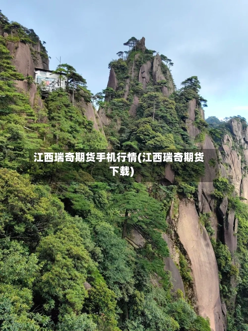 江西瑞奇期货手机行情(江西瑞奇期货下载)-第2张图片