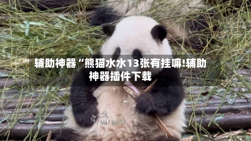辅助神器“熊猫水水13张有挂嘛!辅助神器插件下载