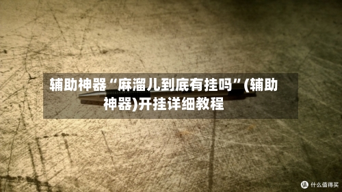 辅助神器“麻溜儿到底有挂吗”(辅助神器)开挂详细教程