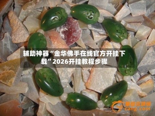 辅助神器“金华佛手在线官方开挂下载”2026开挂教程步骤