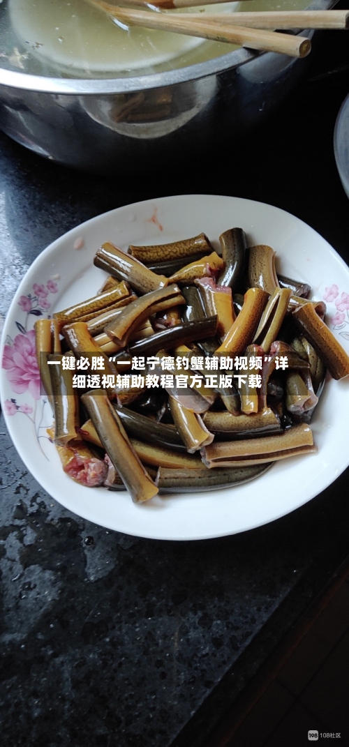 一键必胜“一起宁德钓蟹辅助视频”详细透视辅助教程官方正版下载