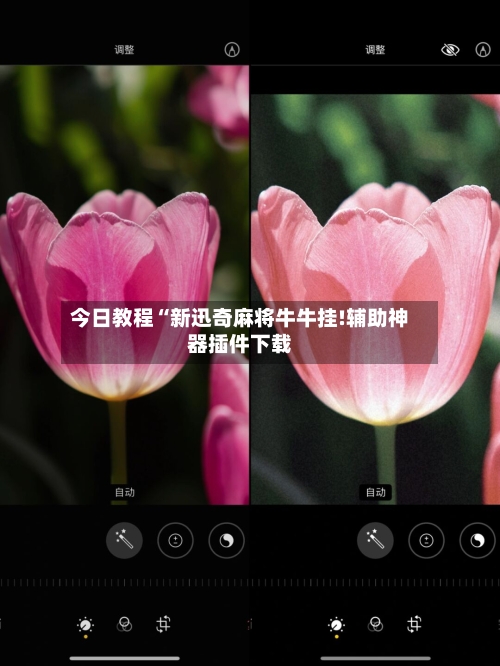 今日教程“新迅奇麻将牛牛挂!辅助神器插件下载