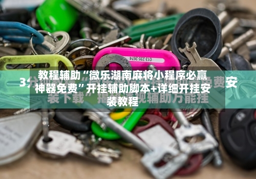 教程辅助“微乐湖南麻将小程序必赢神器免费”开挂辅助脚本+详细开挂安装教程-第2张图片