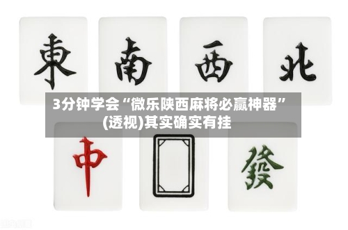 3分钟学会“微乐陕西麻将必赢神器”(透视)其实确实有挂