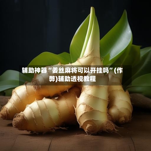 辅助神器“姜丝麻将可以开挂吗”(作弊)辅助透视教程-第3张图片
