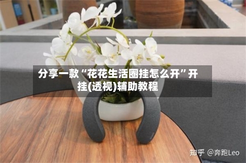分享一款“花花生活圈挂怎么开”开挂(透视)辅助教程
