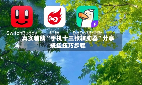 真实辅助“手机十三张辅助器”分享装挂技巧步骤-第2张图片