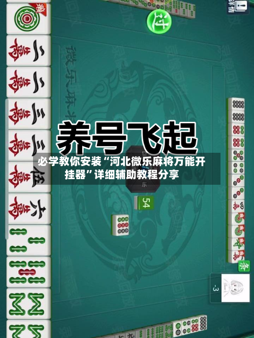必学教你安装“河北微乐麻将万能开挂器”详细辅助教程分享-第2张图片