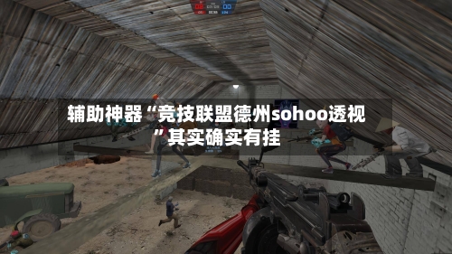 辅助神器“竞技联盟德州sohoo透视”其实确实有挂-第2张图片