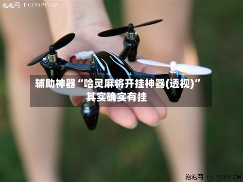 辅助神器“哈灵麻将开挂神器(透视)	”其实确实有挂-第2张图片