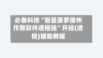 必备科技“智星菠萝德州作弊软件透视挂”开挂(透视)辅助教程-第2张图片