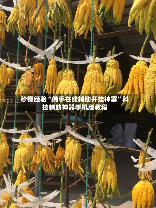 秒懂经验“佛手在线辅助开挂神器”科技辅助神器手机版教程-第2张图片