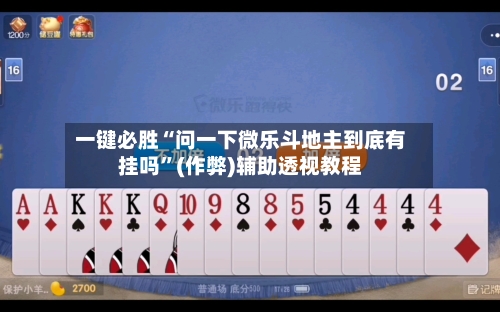 一键必胜“问一下微乐斗地主到底有挂吗”(作弊)辅助透视教程-第2张图片