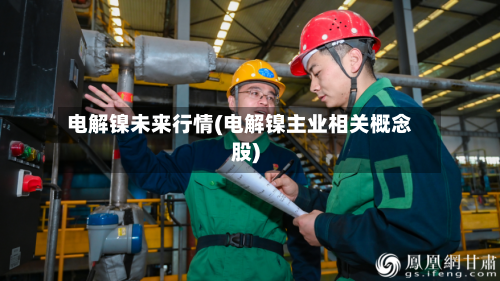 电解镍未来行情(电解镍主业相关概念股)-第2张图片