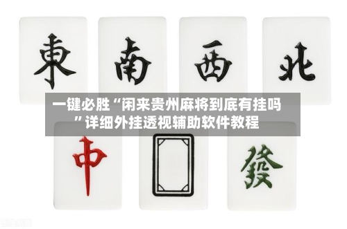 一键必胜“闲来贵州麻将到底有挂吗”详细外挂透视辅助软件教程-第2张图片