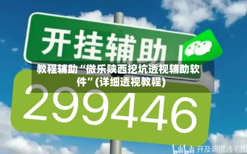 教程辅助“微乐陕西挖坑透视辅助软件”(详细透视教程)
