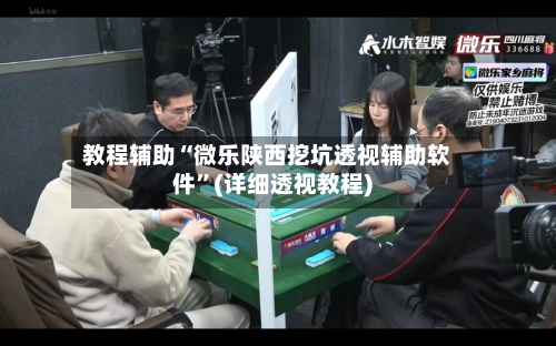 教程辅助“微乐陕西挖坑透视辅助软件”(详细透视教程)-第2张图片