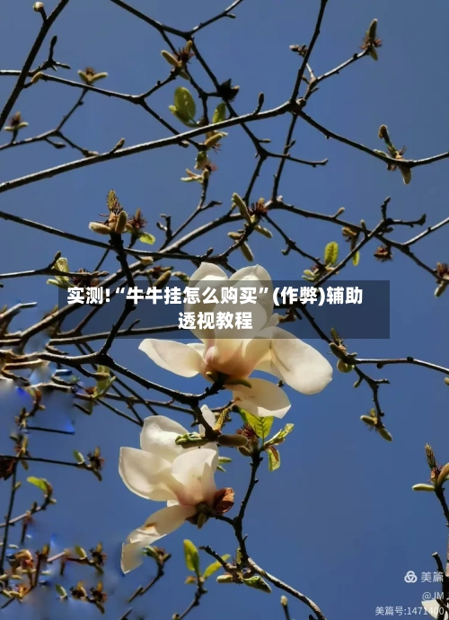 实测!“牛牛挂怎么购买”(作弊)辅助透视教程-第2张图片