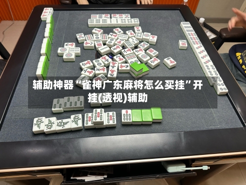 辅助神器“雀神广东麻将怎么买挂”开挂(透视)辅助-第2张图片