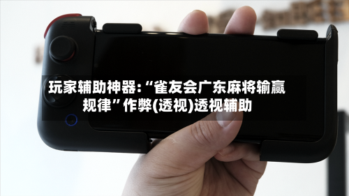 玩家辅助神器:“雀友会广东麻将输赢规律	”作弊(透视)透视辅助-第3张图片