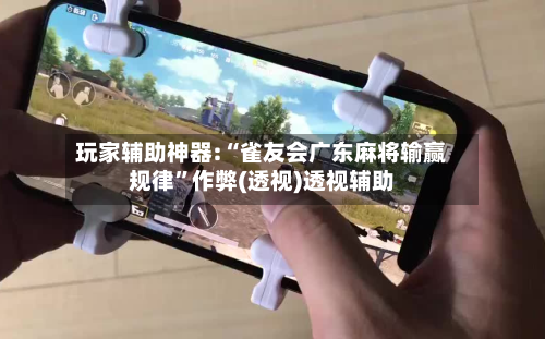 玩家辅助神器:“雀友会广东麻将输赢规律”作弊(透视)透视辅助-第2张图片