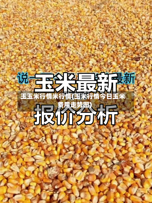 玉玉米行情米行情(玉米行情今日玉米费用走势图)-第2张图片