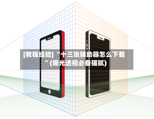 [教程经验] “十三张辅助器怎么下载	”(曝光透视必备猫腻)-第3张图片