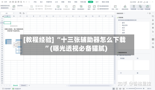 [教程经验] “十三张辅助器怎么下载	”(曝光透视必备猫腻)-第2张图片